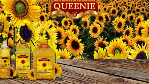 Sunflower Oil